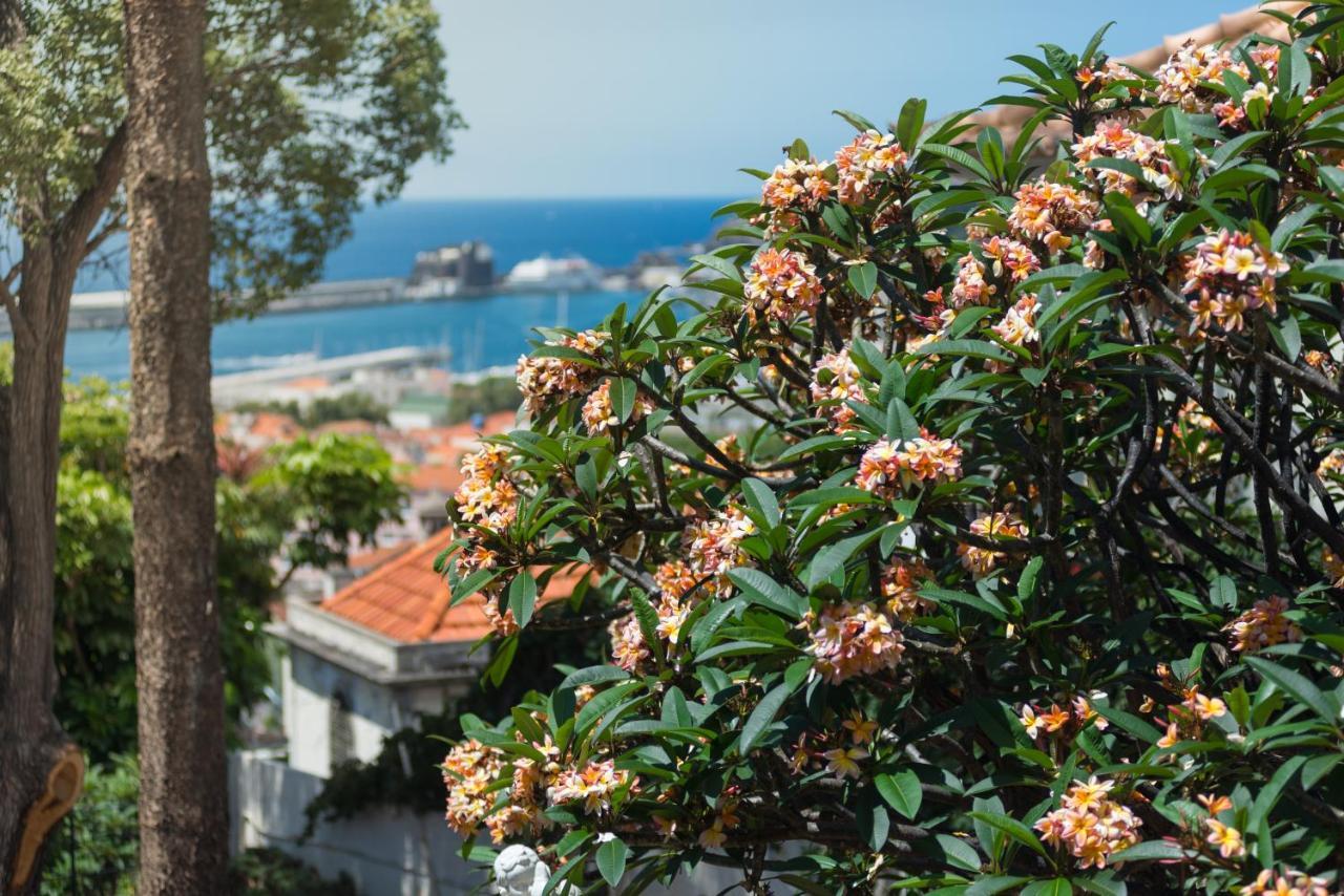 Arts In Hotel Conde Carvalhal Funchal  Exterior foto